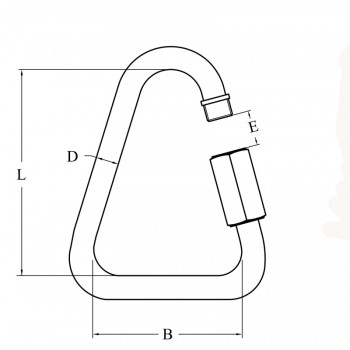 ANELLO A DELTA INOX 316 Ø MM.6