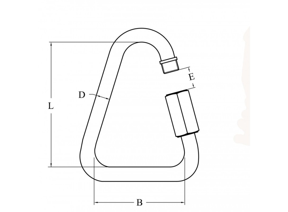 ANELLO A DELTA INOX 316 Ø MM.6