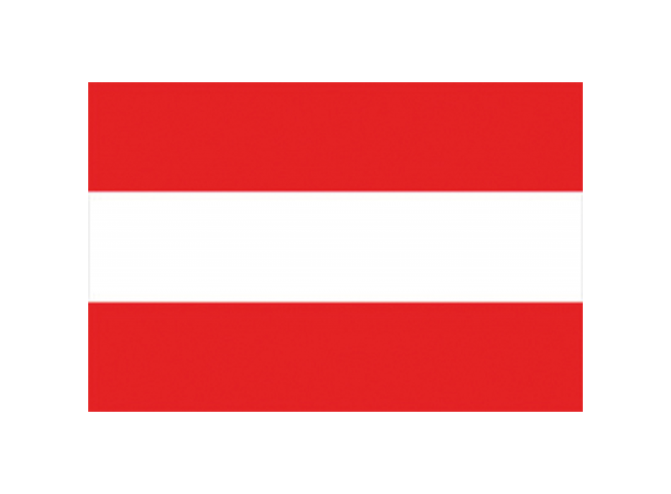 BANDIERA AUSTRIA CM.20X30