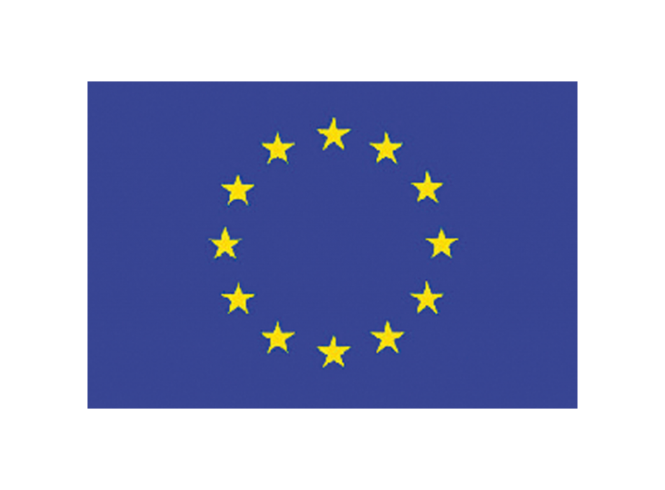 BANDIERA EUROPA CM.70x100