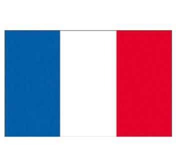 BANDIERA FRANCIA CM.30X45
