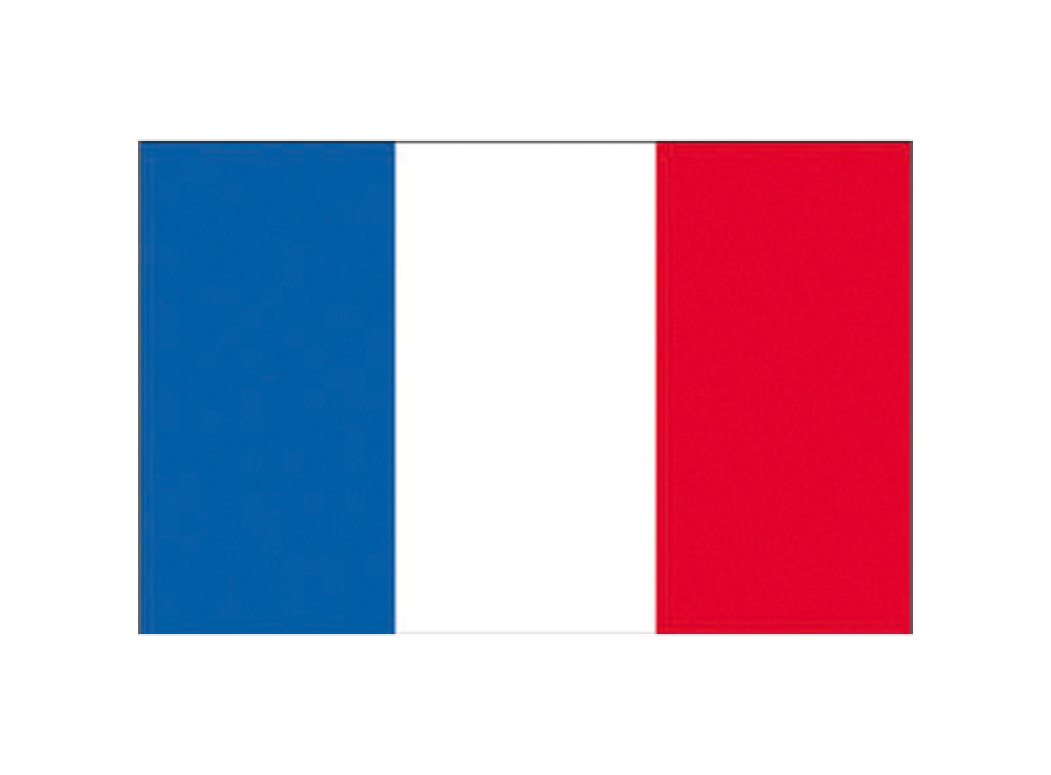 BANDIERA FRANCIA CM.80X120