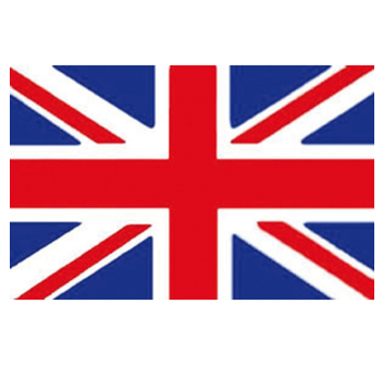 BANDIERA INGHILTERRA CM.20X30