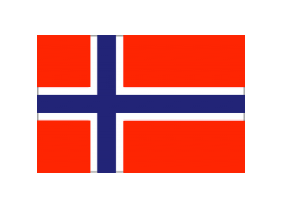 BANDIERA NORVEGIA CM.20X30