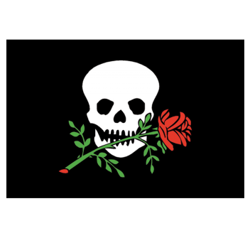 BANDIERA OSPITE A BORDO CM.20X30