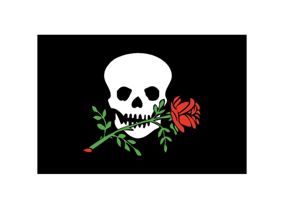 BANDIERA OSPITE A BORDO CM.20X30