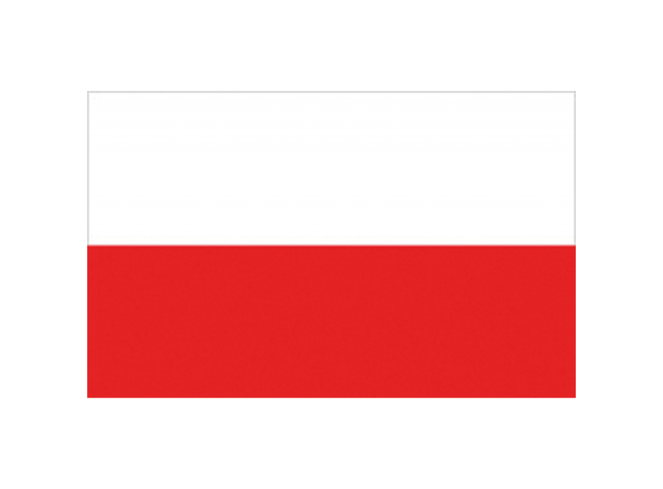 BANDIERA POLONIA CM.20X30