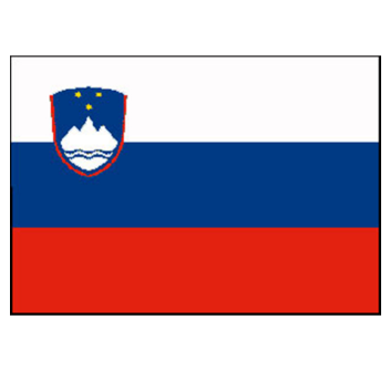 BANDIERA SLOVENIA CM.20X30