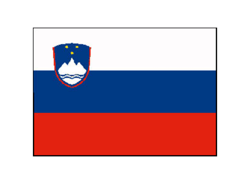 BANDIERA SLOVENIA CM.40X60