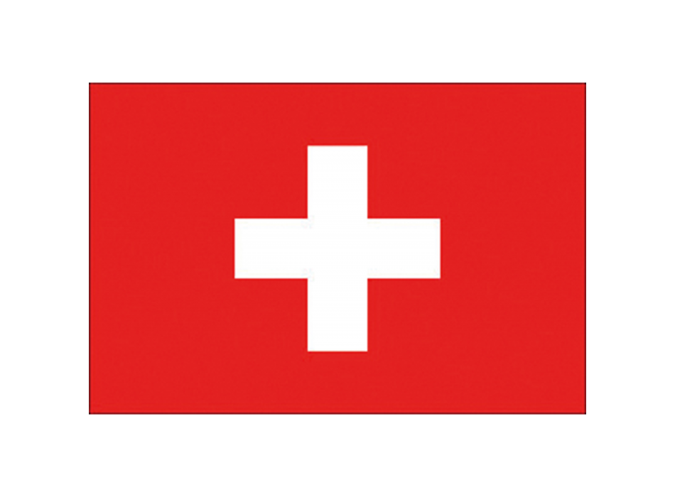 BANDIERA SVIZZERA CM.80X120