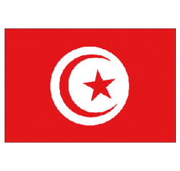 BANDIERA TUNISIA CM.20X30