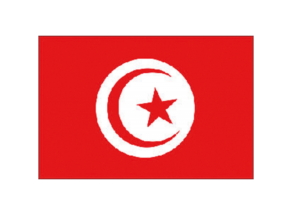 BANDIERA TUNISIA CM.20X30