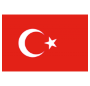 BANDIERA TURCHIA  CM 20X30