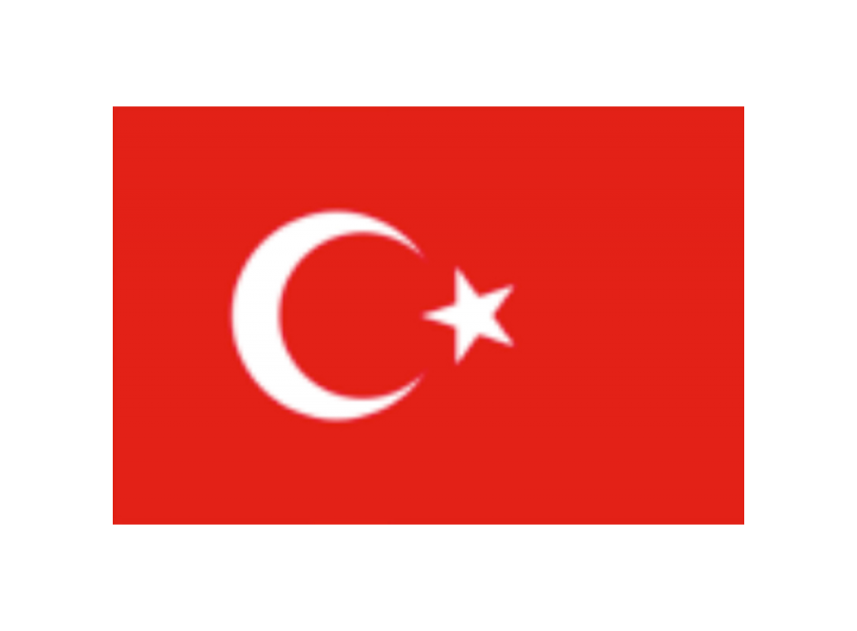 BANDIERA TURCHIA CM 30X45