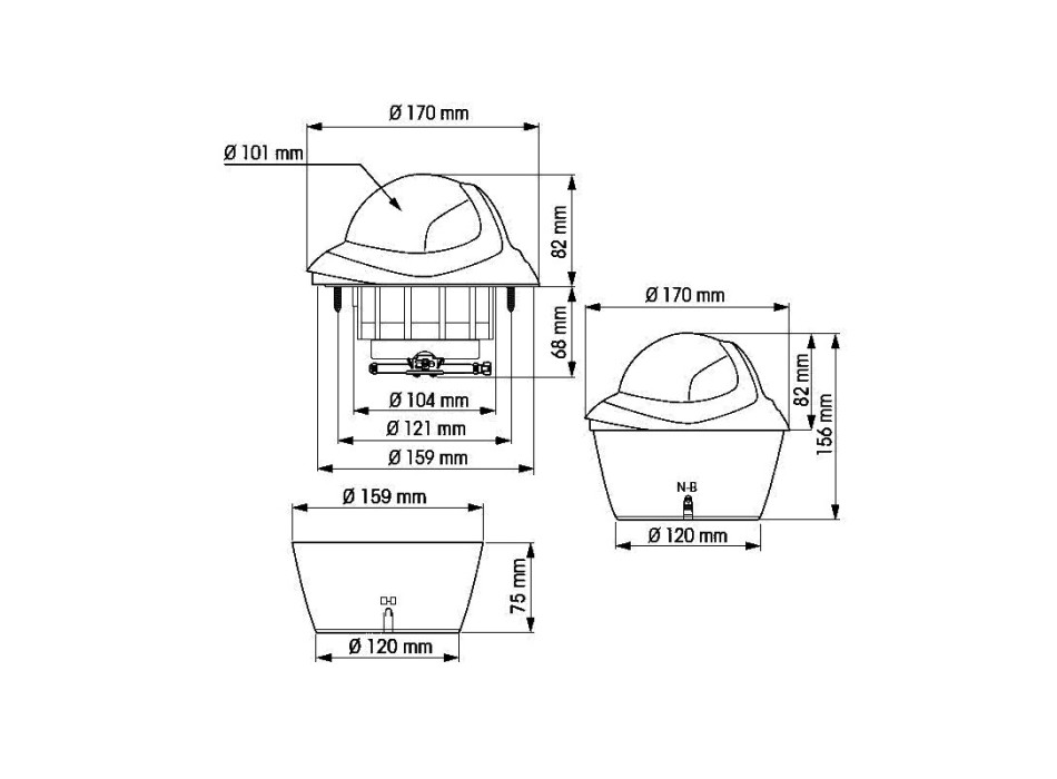 BUSSOLA BIANCA CON ROSA PIATTA NERA