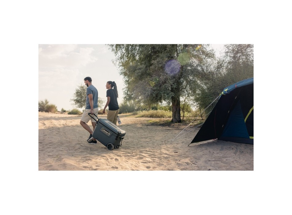 GHIACCIAIA CONVOY 65