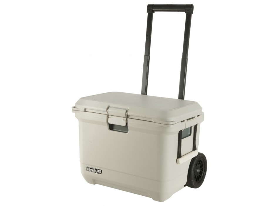 GHIACCIAIA PRO 55 QT
