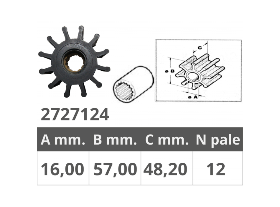 GIRANTE JAB.13554 JOHN.09-812B