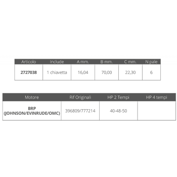 GIRANTE JOHNSON/EV. 2T 40-48-50 HP