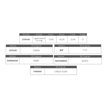 GIRANTE SHERWOOD 9000K