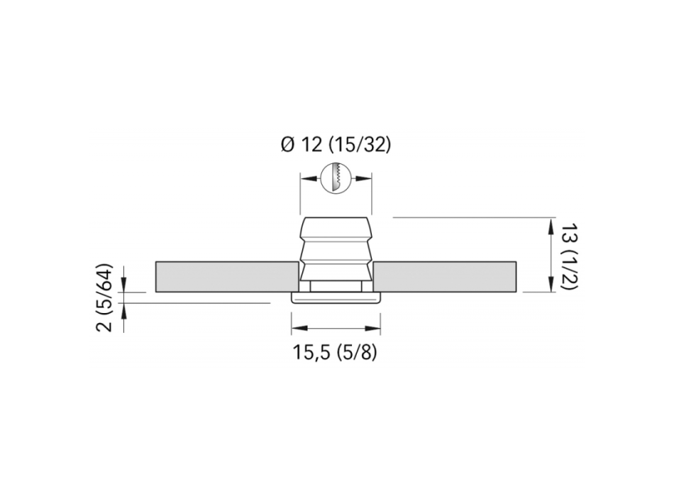 LUCE DI CORTESIA  TESS