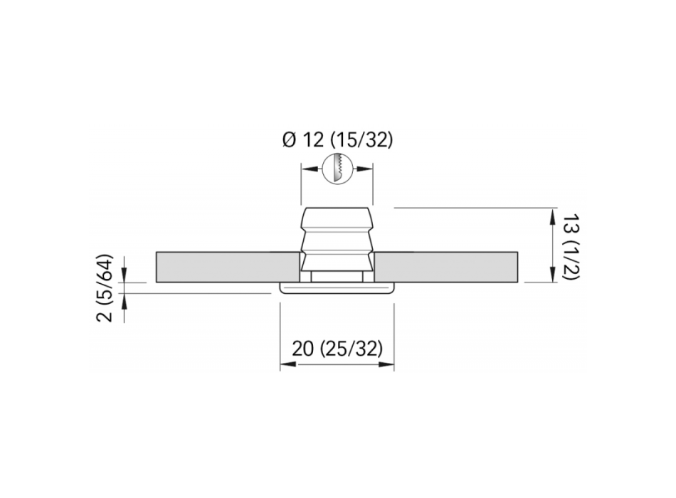 LUCE DI CORTESIA  TINA