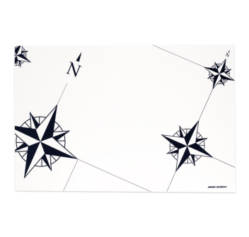 TOVAGLIETTE IN PLASTICA CM 45 X 30 - SET 6 PEZZI